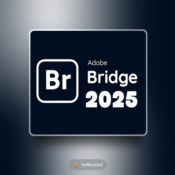Adobe Bridge 2025, Bridge 2025 workflow, Bridge 2025 organization