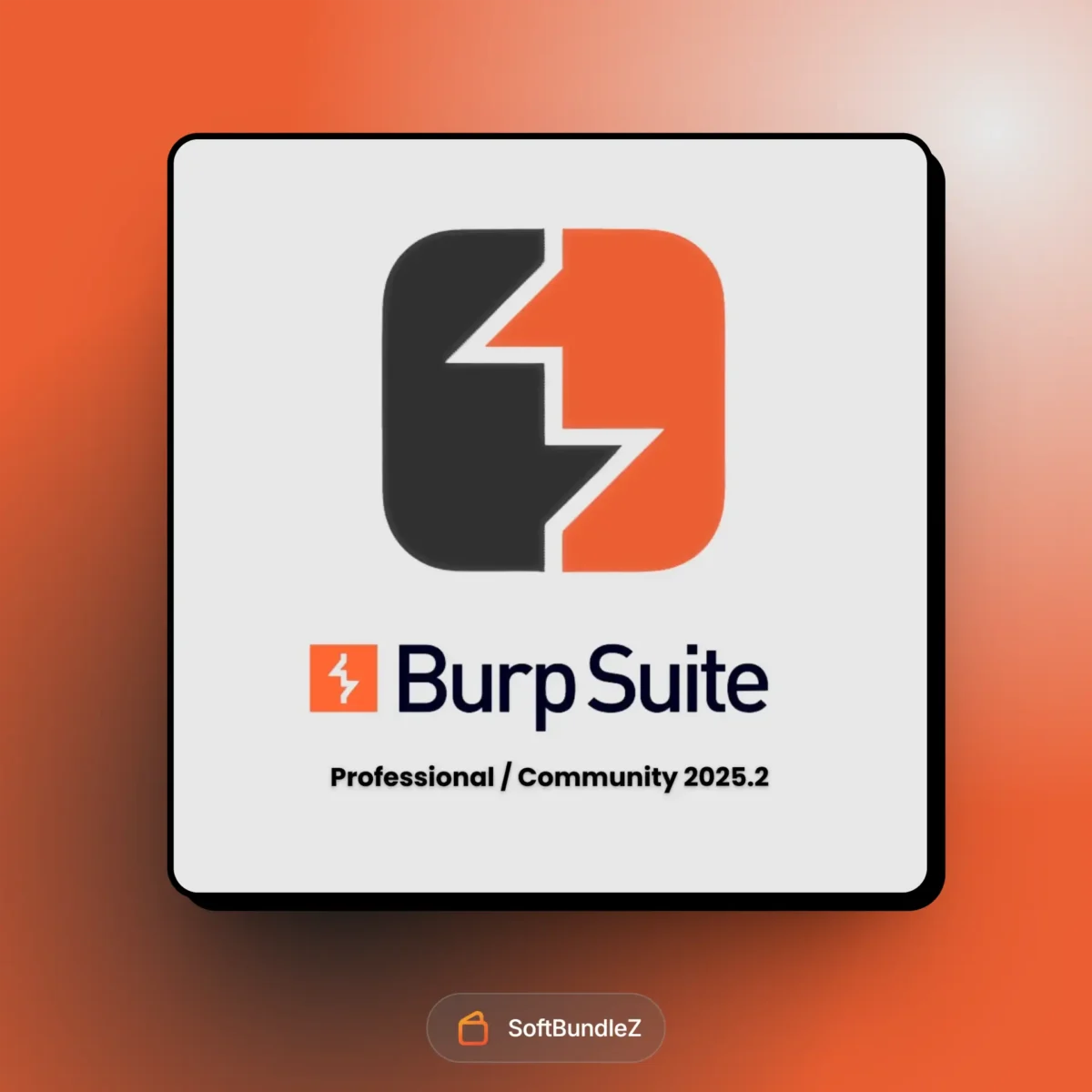 Burp Suite Professional 2025, Burp Suite 2025 review, Burp Suite 2025 scanning